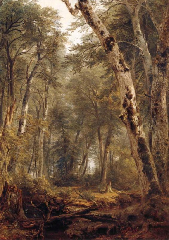 Asher Brown Durand Study Woodland interior